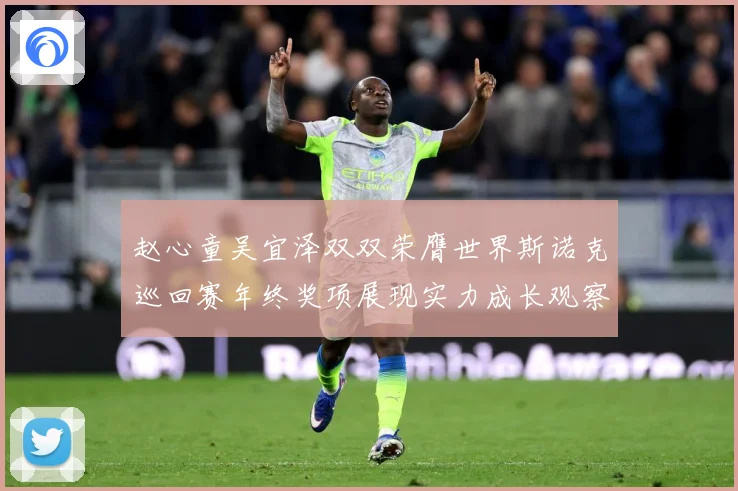 赵心童吴宜泽双双荣膺世界斯诺克巡回赛年终奖项展现实力成长观察：最新赛事动态与深度分析